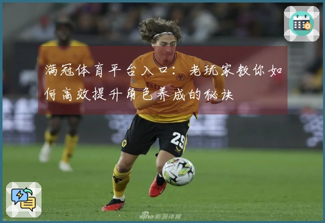 满冠体育平台入口：老玩家教你如何高效提升角色养成的秘诀