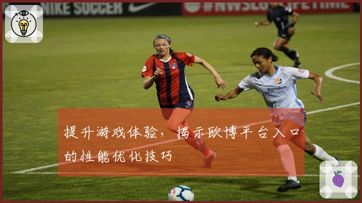 提升游戏体验，揭示欧博平台入口的性能优化技巧