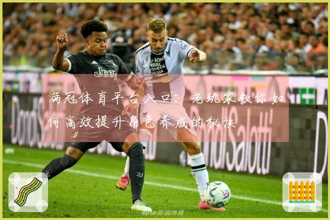 满冠体育平台入口：老玩家教你如何高效提升角色养成的秘诀
