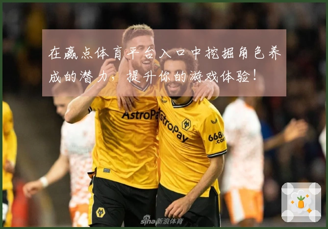 在赢点体育平台入口中挖掘角色养成的潜力,提升你的游戏体验!