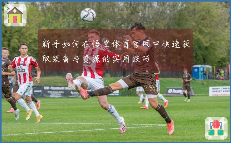 新手如何在悟空体育官网中快速获取装备与资源的实用技巧